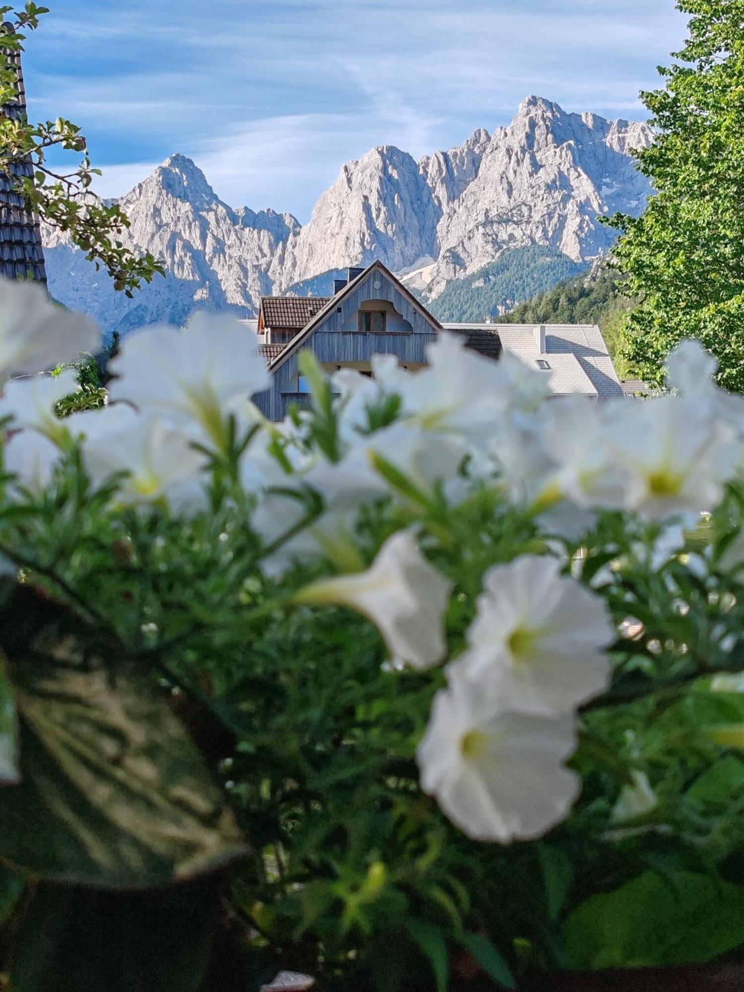 Apartments & Rooms Smucka Kranjska Gora Bagian luar foto